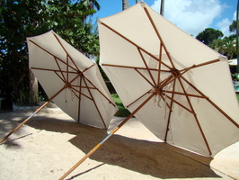 2011 10-Barbados Beach Umbrellas